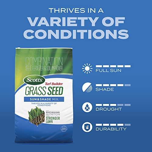 Best image of grass seed