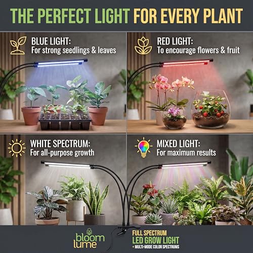 Best image of grow lamps