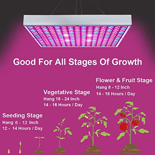 Best image of grow lamps