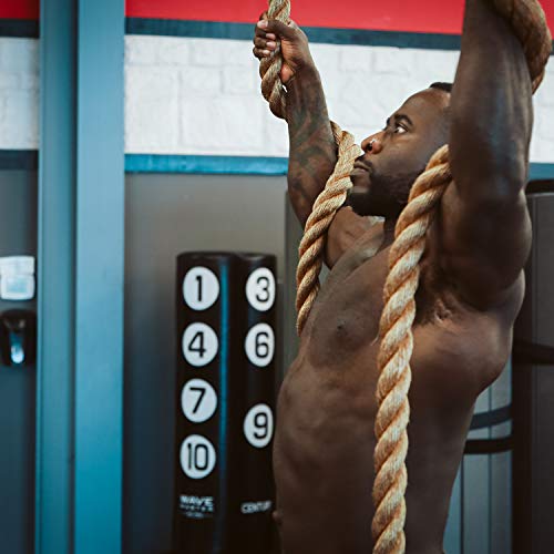 Best image of gym climbing ropes