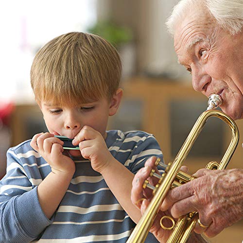 Best image of harmonicas