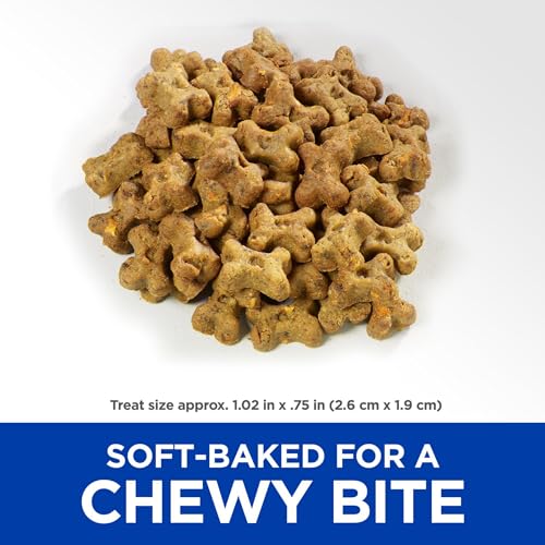 Best image of healthy dog treats