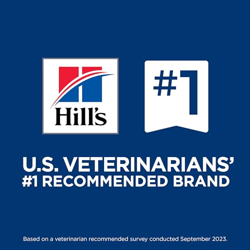 Best image of healthy dog treats