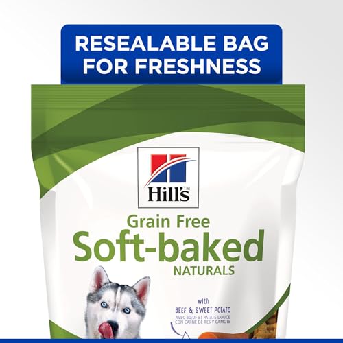 Best image of healthy dog treats