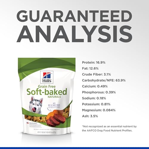 Best image of healthy dog treats