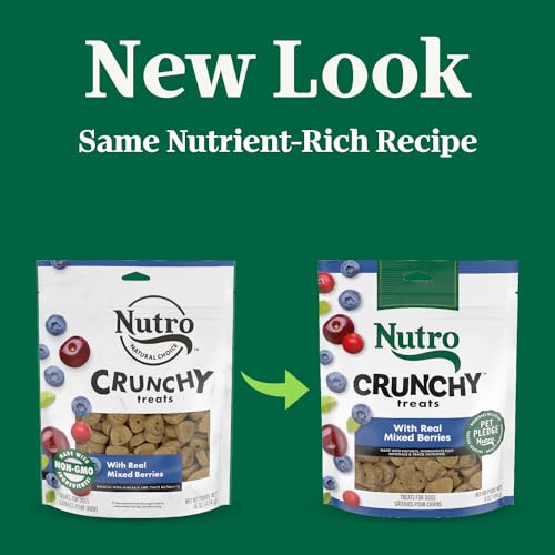 Best image of healthy dog treats