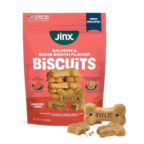 Best image of healthy dog treats