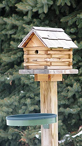 Best image of heated bird baths