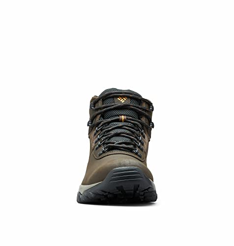 Best image of hiking boots