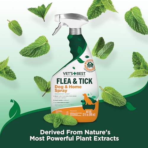 Best image of home flea sprays