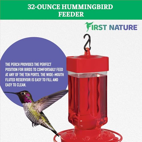 Best image of hummingbird feeders
