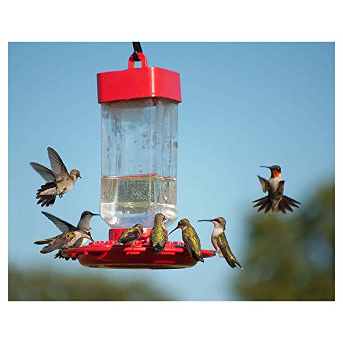 Best image of hummingbird feeders