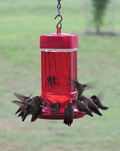 Best image of hummingbird feeders