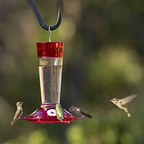 Best image of hummingbird feeders