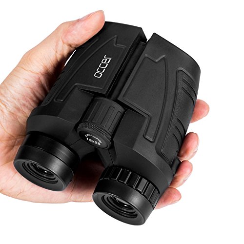 Best image of image stabilized binoculars