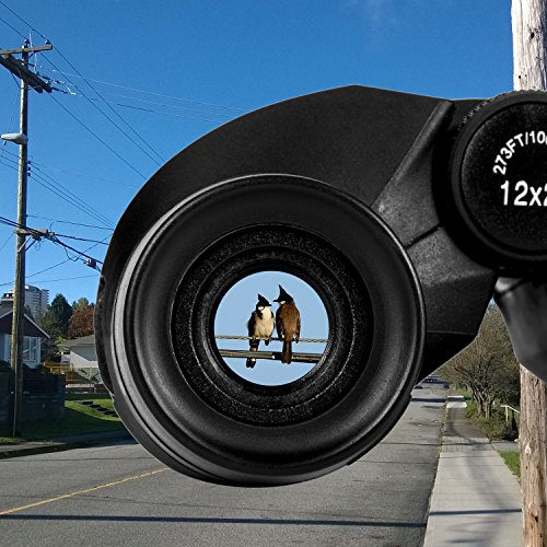 Best image of image stabilized binoculars