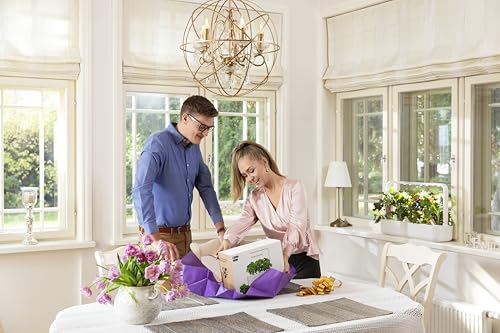 Best image of indoor herb gardens