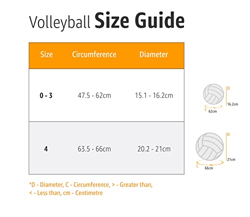 Best image of indoor volleyballs