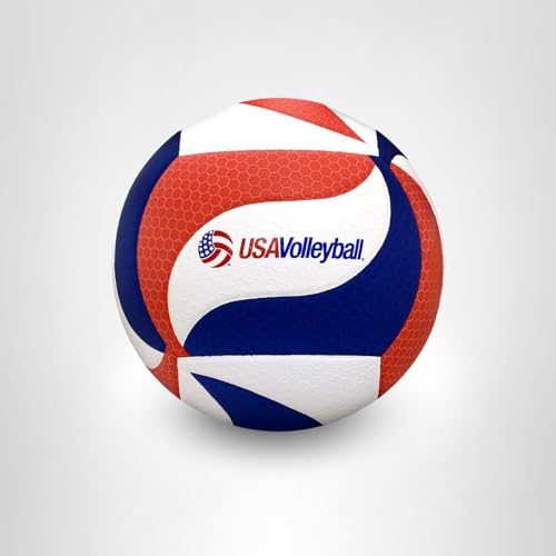 Best image of indoor volleyballs