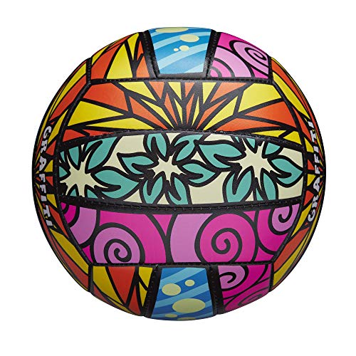 Best image of indoor volleyballs