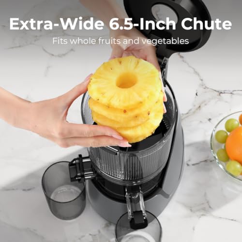 Best image of juicers