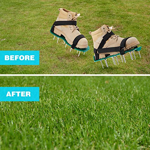 Best image of lawn aerator shoes