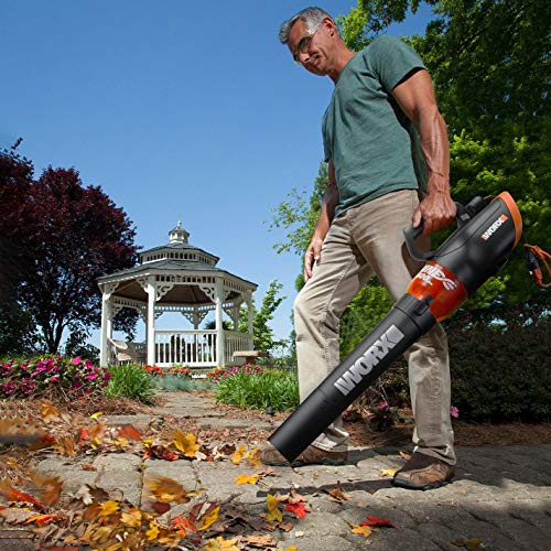 Best image of leaf blowers