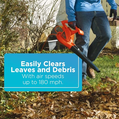 Best image of leaf blowers