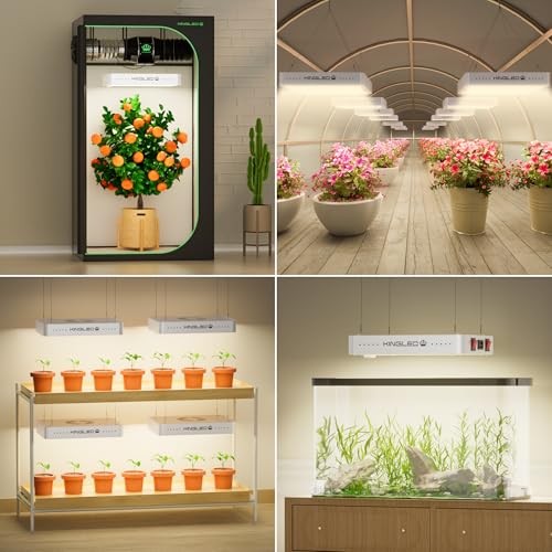 Best image of led grow lights
