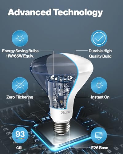 Best image of led indoor flood lights