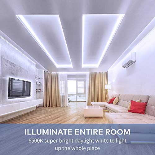 Best image of led strip lights