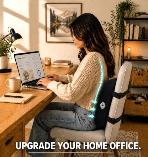 Best image of lumbar supports
