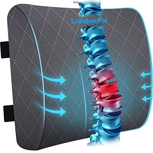 Lumbar Support Pillow, Agokud Back Pillow for Office Chair and Car Seat,  Memory Foam Back Support Pillow for Lower Back Pain Relief, Adjustable  Lumbar