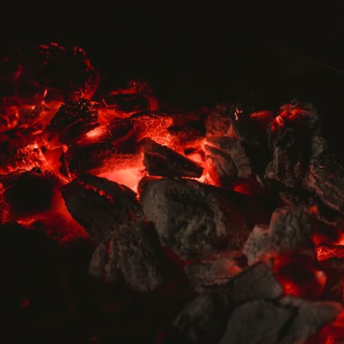 Best image of lump charcoals
