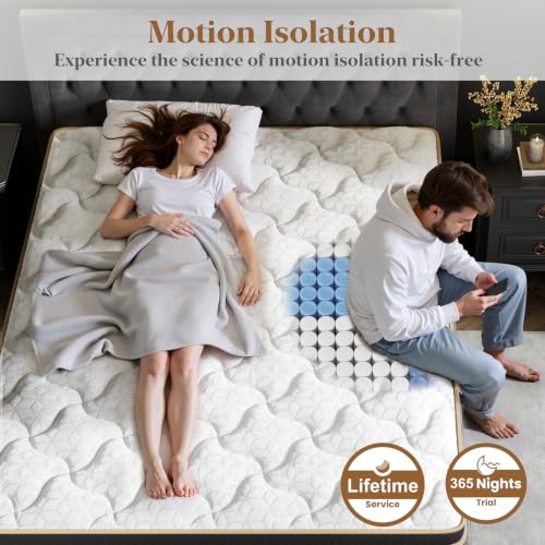 Best image of mattresses