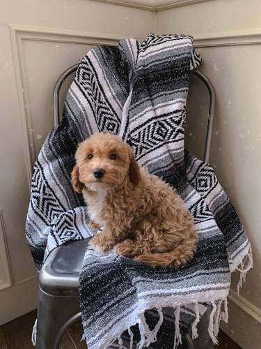 Best image of mexican blankets