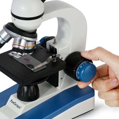 Best image of microscopes