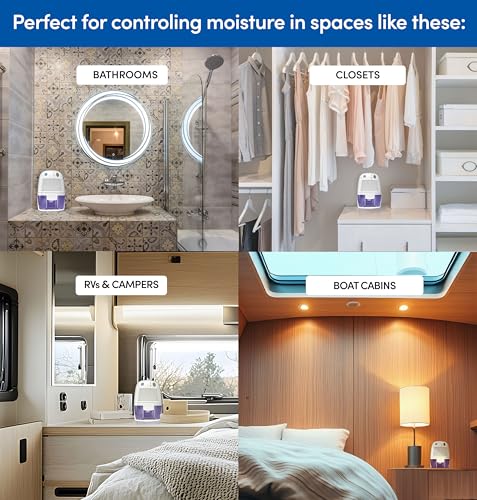 Best image of mini dehumidifiers