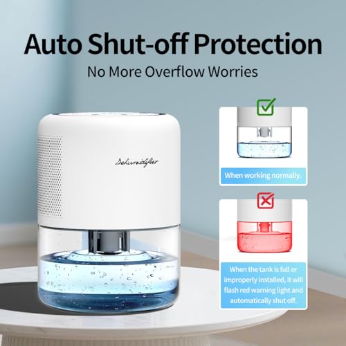 Best image of mini dehumidifiers