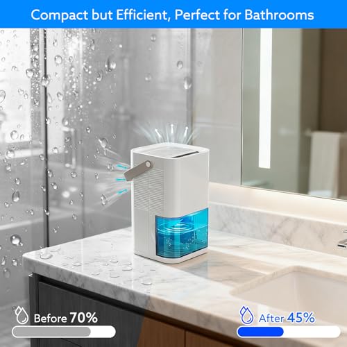Best image of mini dehumidifiers