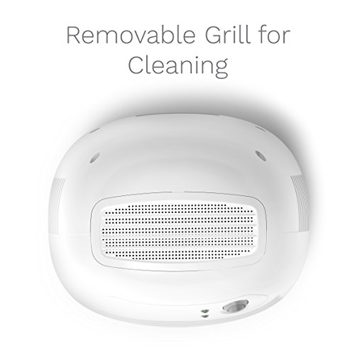 Best image of mini dehumidifiers