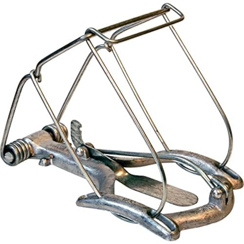 Best image of mole traps