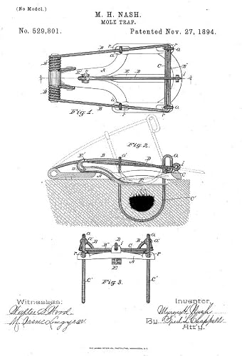 Best image of mole traps