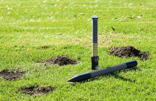 Best image of mole traps