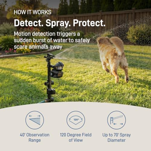 Best image of motion sensors