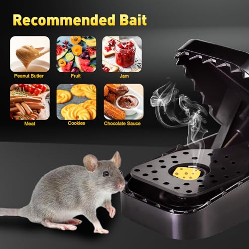 Best image of mouse traps