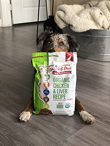 Best image of organic dog foods