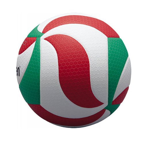 Best image of outdoor volleyballs