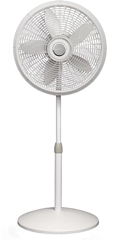 Best image of pedestal fans