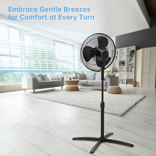 Best image of pedestal fans